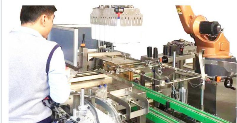 Packaging line robot