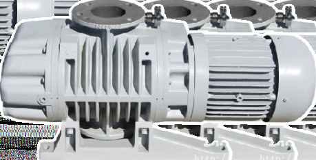 M007 Roots Pump